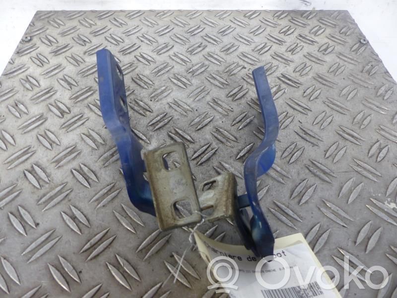 Balamale capotă   1342115080