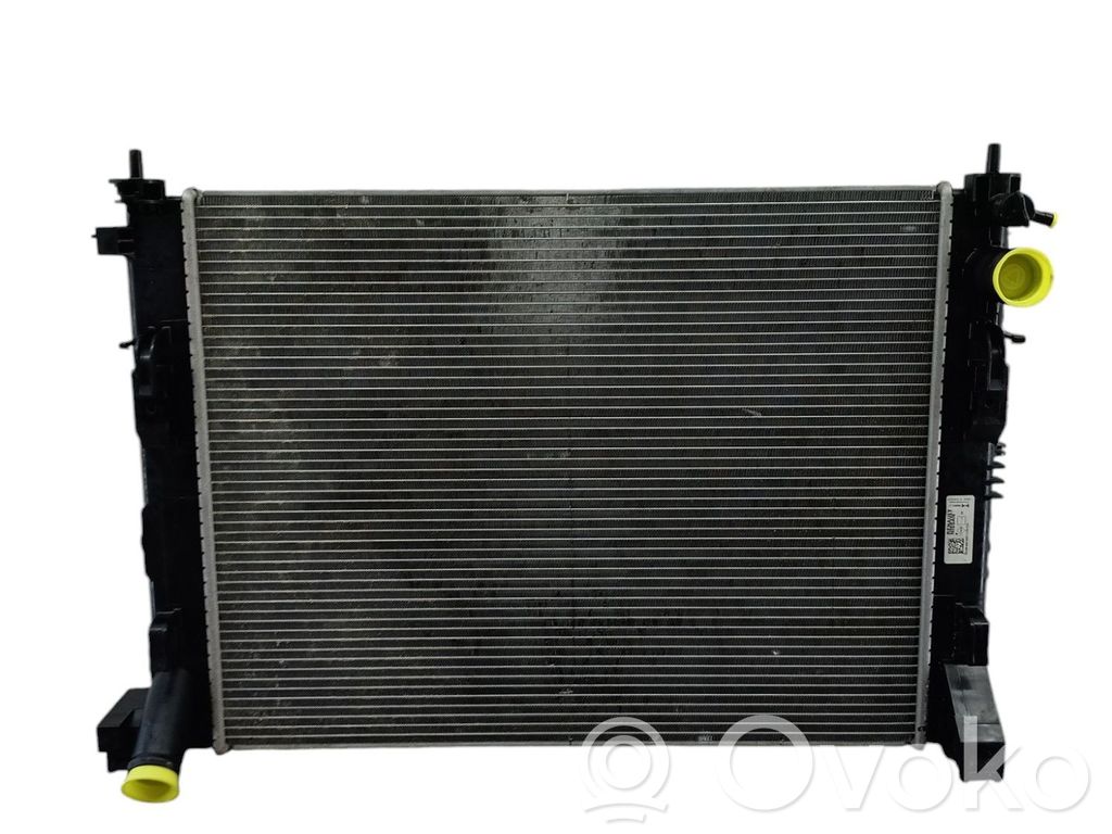 Coolant radiator   214105FA0A,DN2480