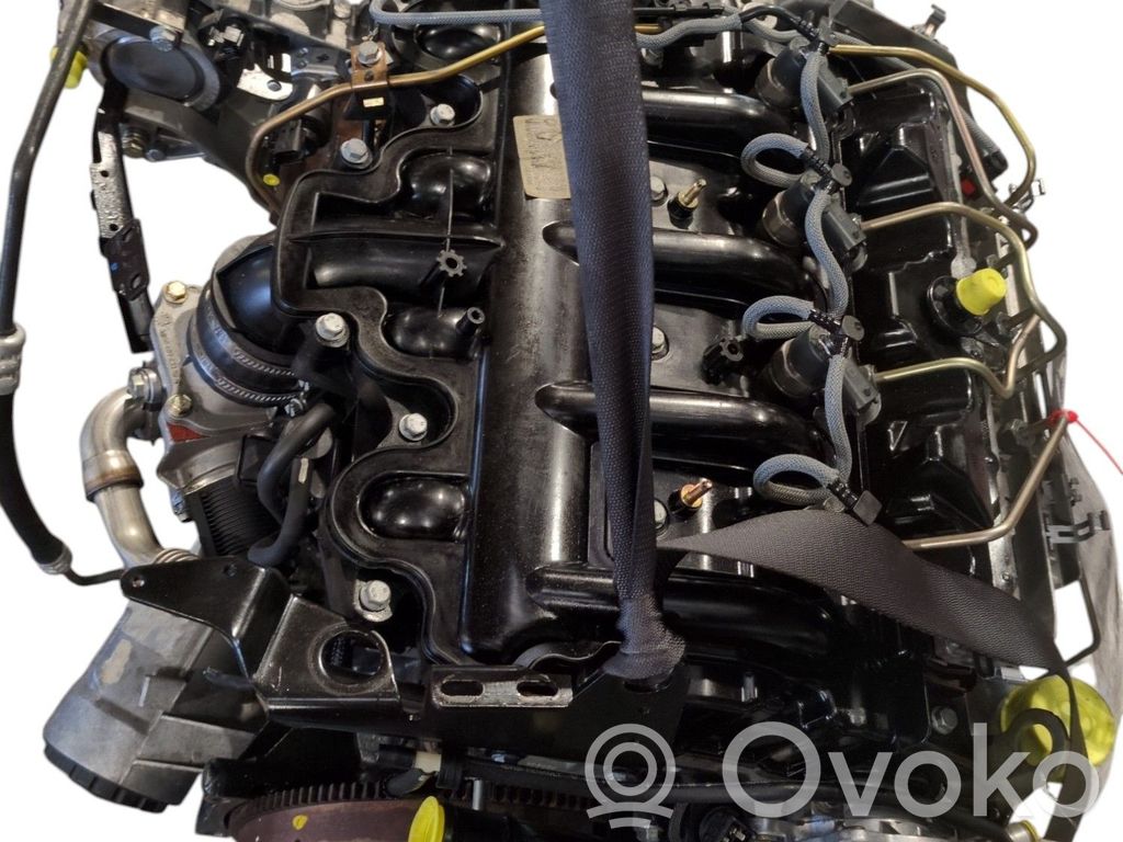Motor   7701476346
