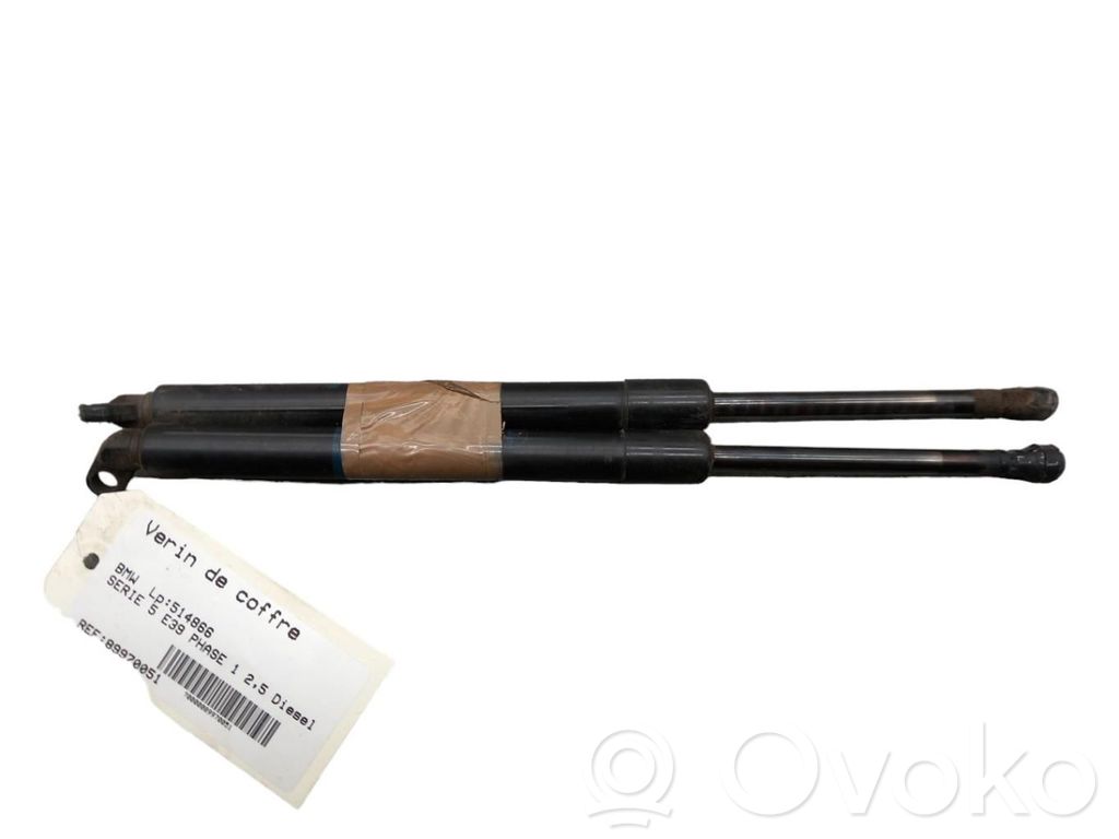 Tailgate/trunk strut/damper   51248222913
