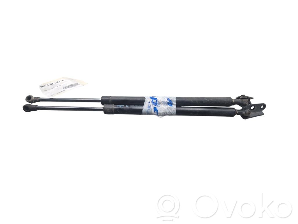 Amortizatorius galinio dangčio   C51363620E