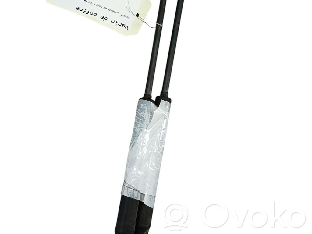 Tailgate/trunk strut/damper   8731K4