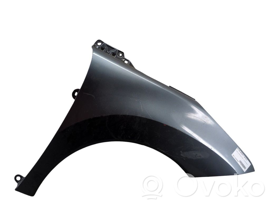 Guardabarro   7841Z1