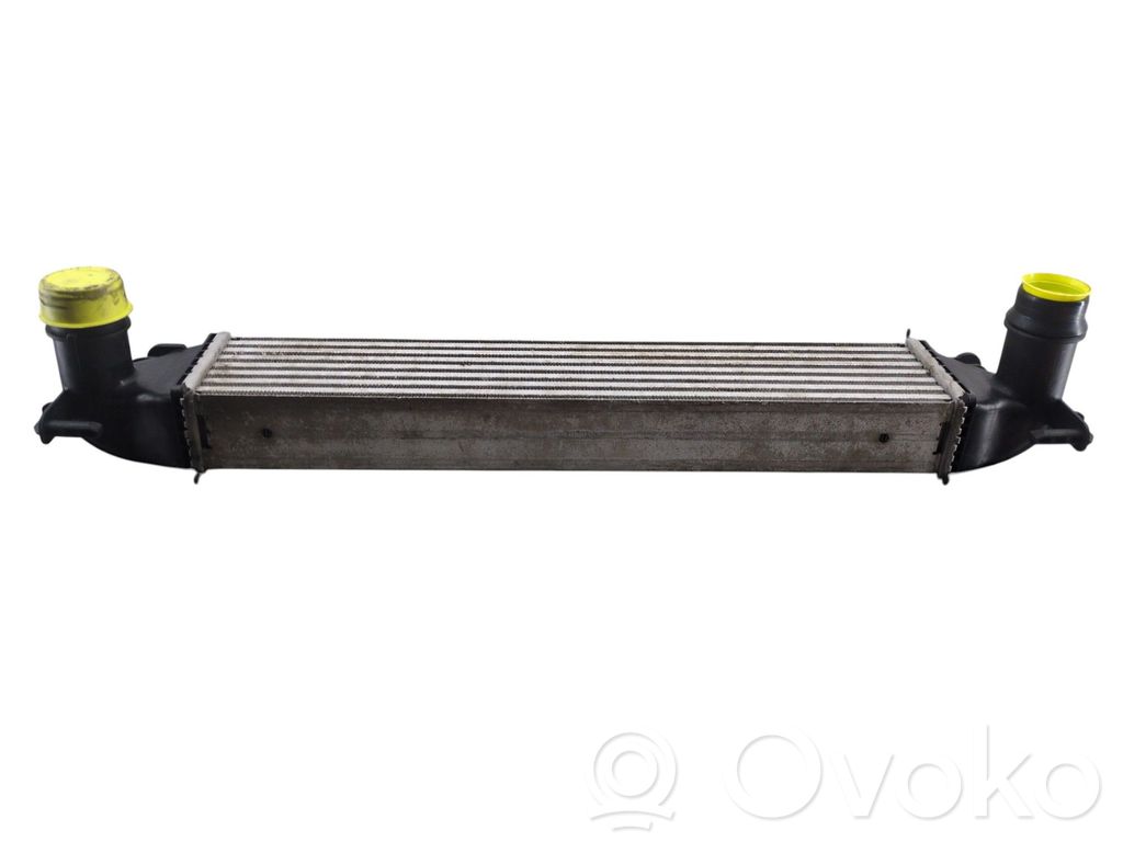 Intercooler radiator   51966750