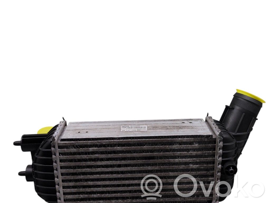 Interkūlerio radiatorius   0384P8
