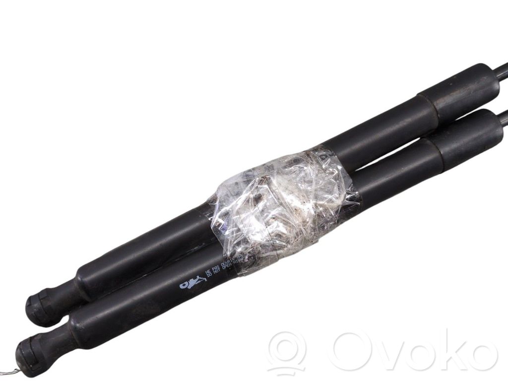 Tailgate/trunk strut/damper   00008731T9