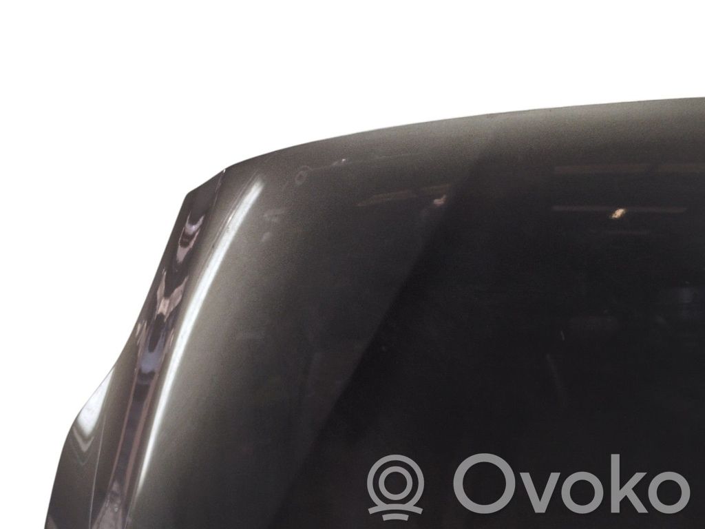 Ford C-MAX II Vano motore/cofano 