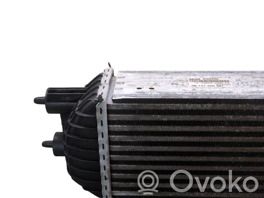 Intercooler radiator   00000384P8