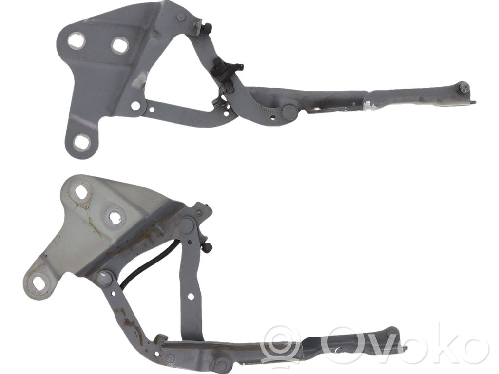 Scharnier Motorhaube   41002993149