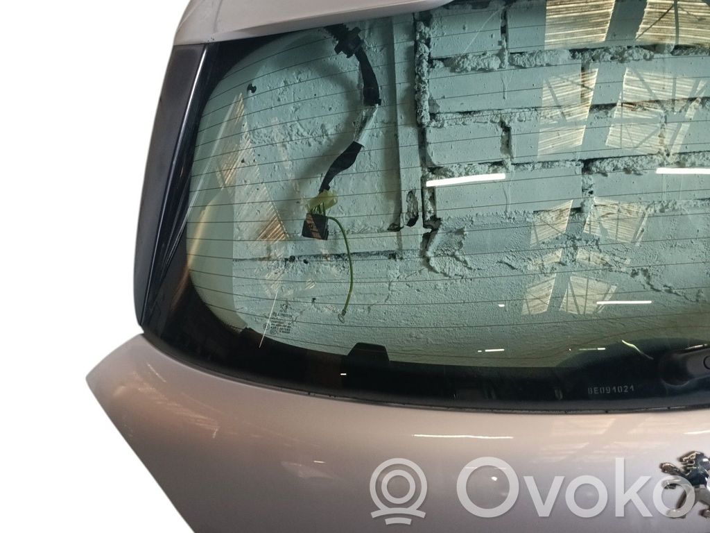 Puerta del maletero/compartimento de carga   8701Y9