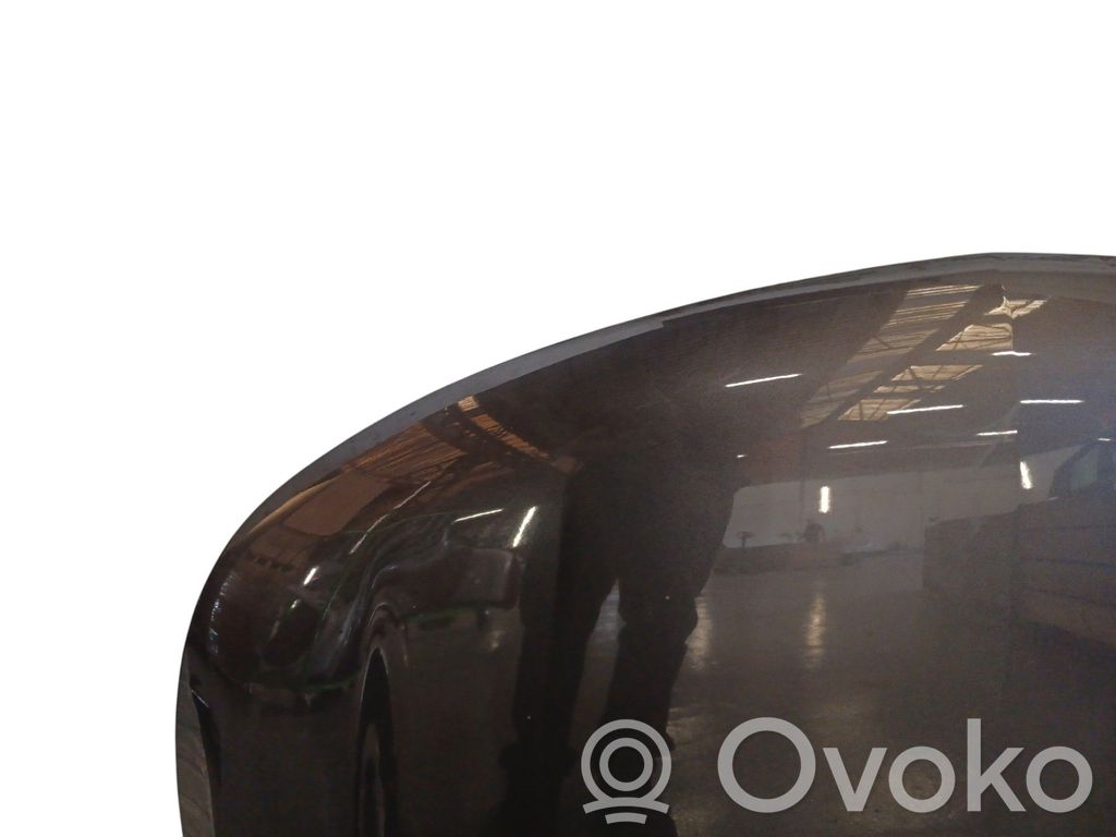 Dzinēja pārsegs (vāks)   42891422