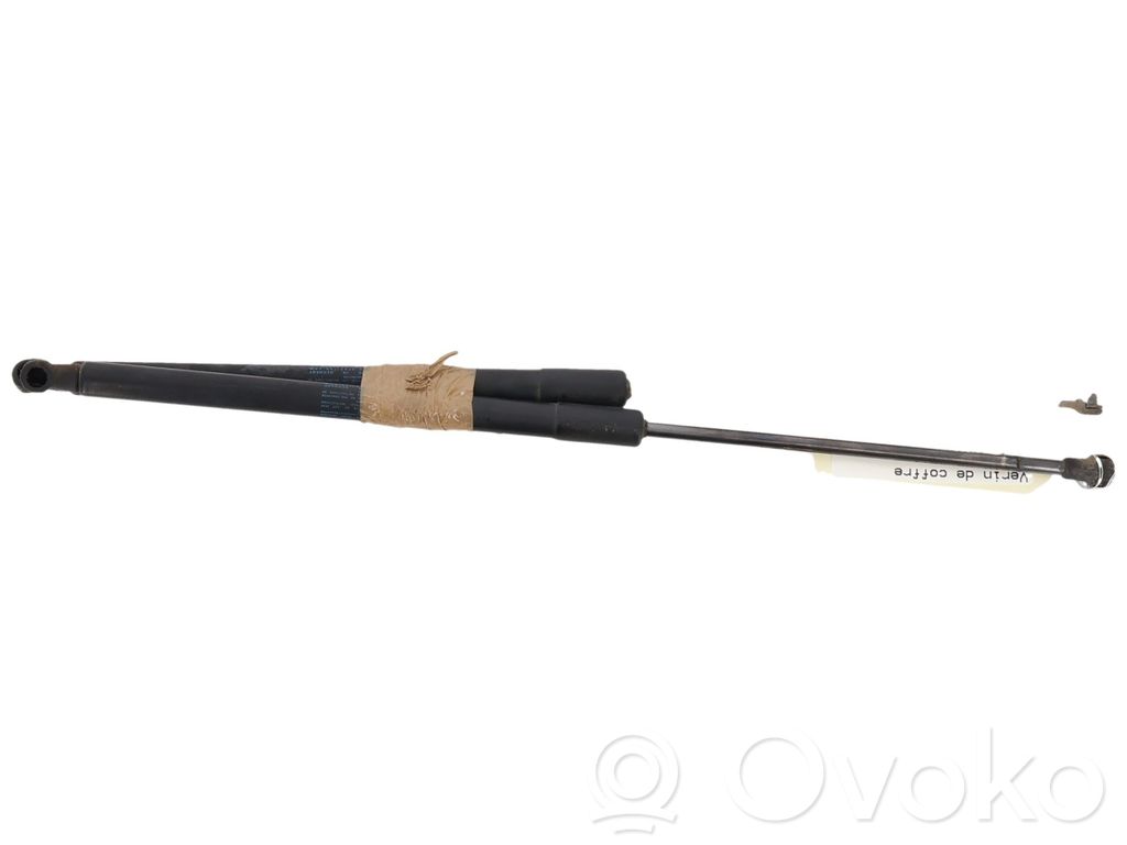 Tailgate/trunk strut/damper   9813913880