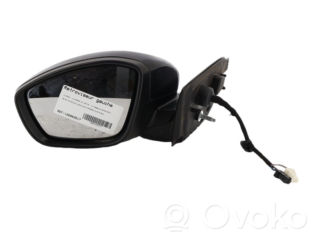 Manual wing mirror   98310254XT