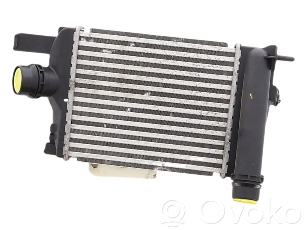 Intercooler radiator   144963014R