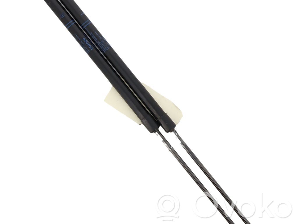Tailgate/trunk strut/damper   8186084M00