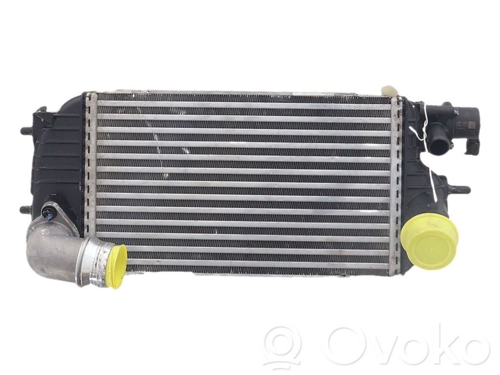 Hyundai Tucson IV NX4 Radiator intercooler 