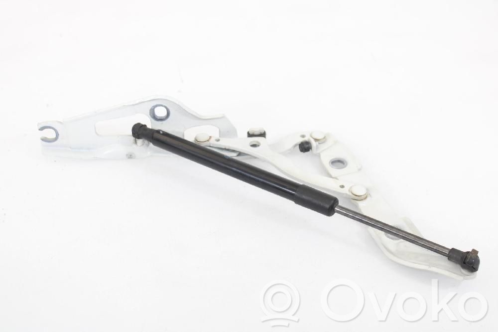 BMW 1 E82 E88 Tailgate/trunk/boot hinge 