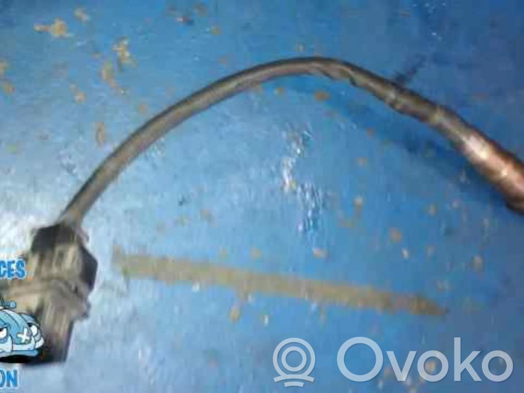 Lambda probe sensor   00354269B