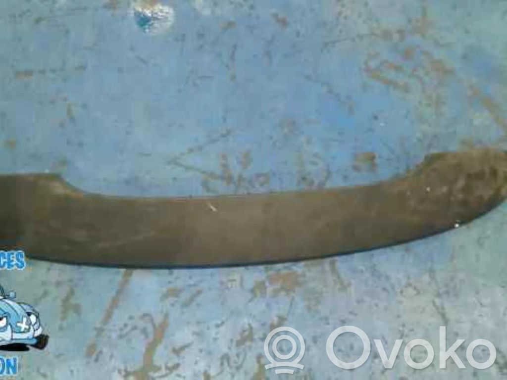 Tailgate/trunk spoiler   ALERONTRASERO