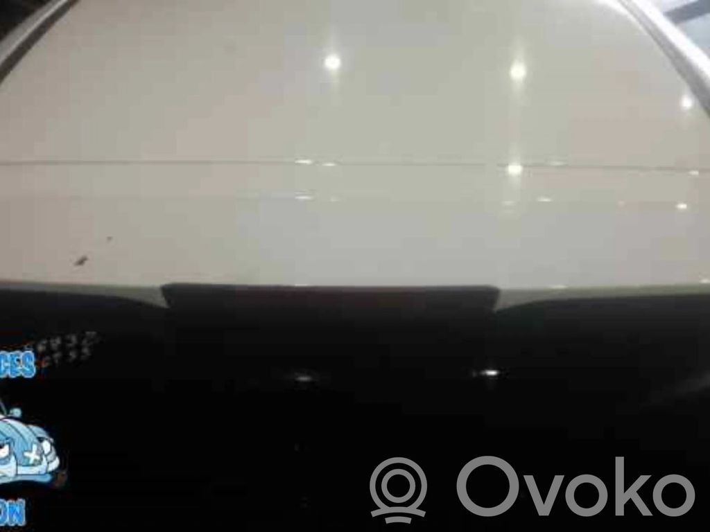 Tailgate/trunk spoiler   ALERONTRASERO