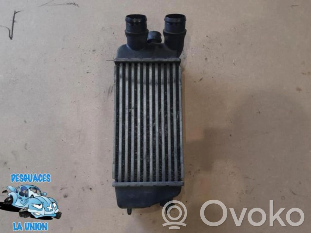 Citroen C3 Interkūlerio radiatorius 