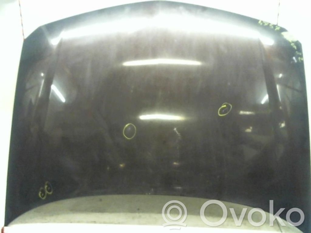 Motorhaube   7751475999,7751475999