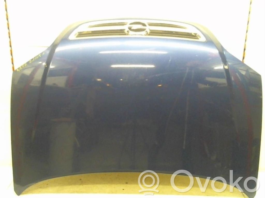 Motorhaube   93170620,93170620