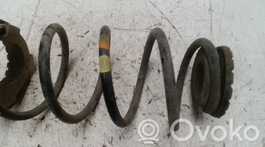 Fiat Punto (199) Arc elicoidal spate