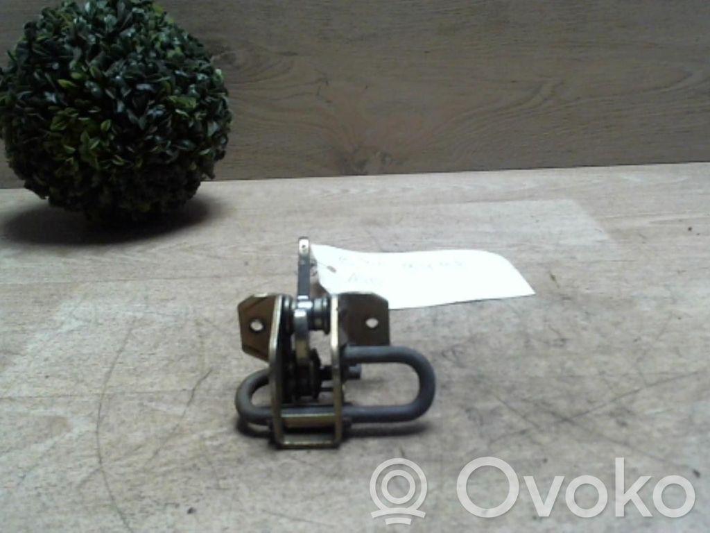 Front door lock loop/hook striker