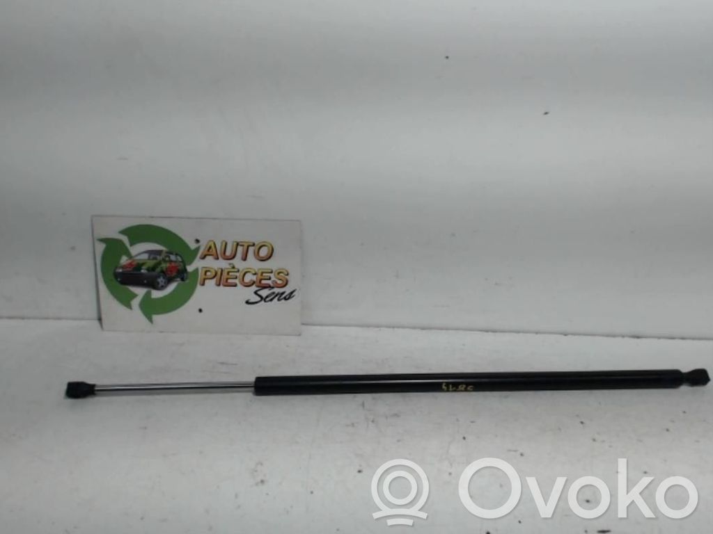 Tailgate/trunk strut/damper   00008731P5,00008731P5