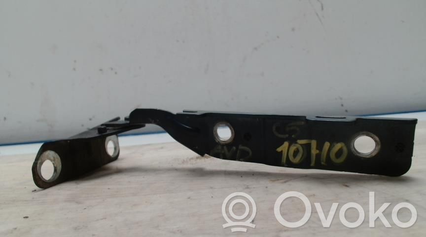 Citroen C5 Balamale capotă
