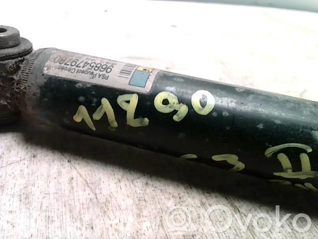 Amortizor spate   00005206CY,00005206CY