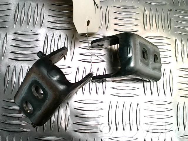 Citroen C4 II Picasso Set di cerniere portiera anteriore