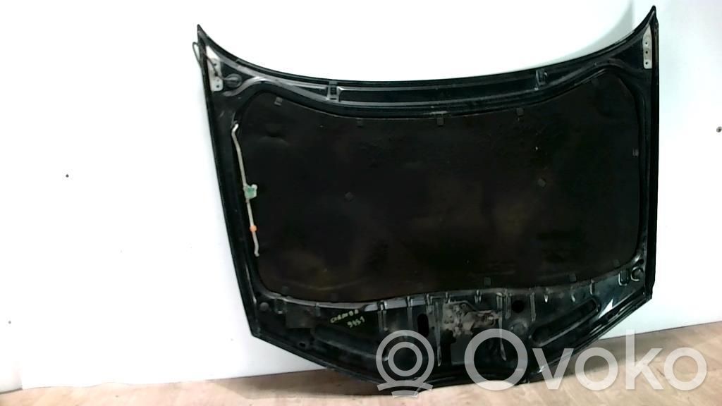 Motorhaube   7901N3,7901N3