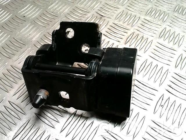 Citroen C5 Scharnier Satz Set Tür vorne 