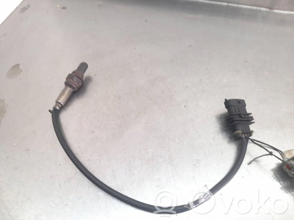 Sonda lambda   55561425