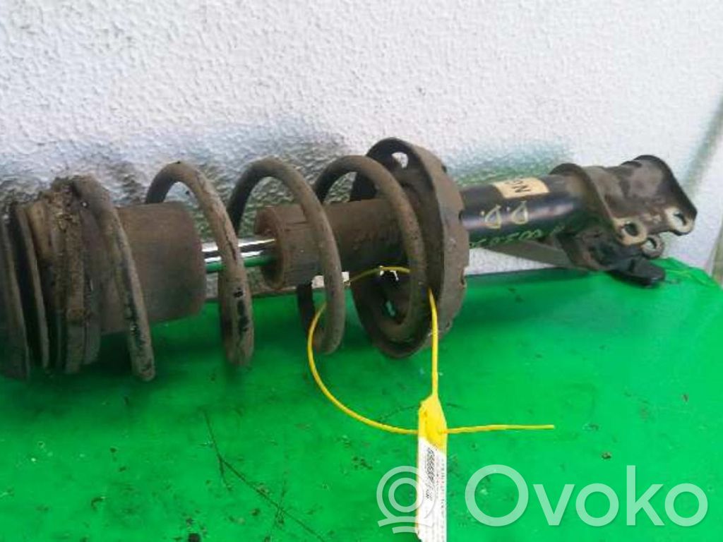 Amortiguador delantero   22194342