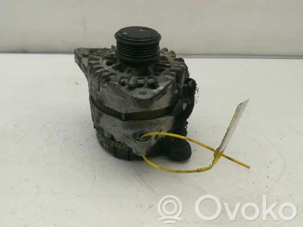 Generator/alternator   20140123