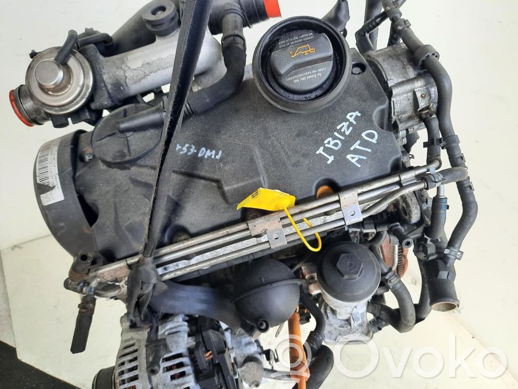 Seat Ibiza III (6L) Motor 