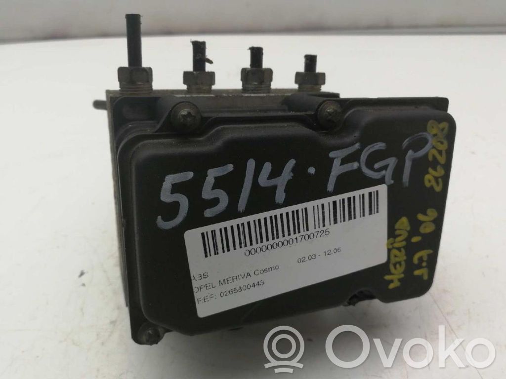 ABS Pump   0265800443