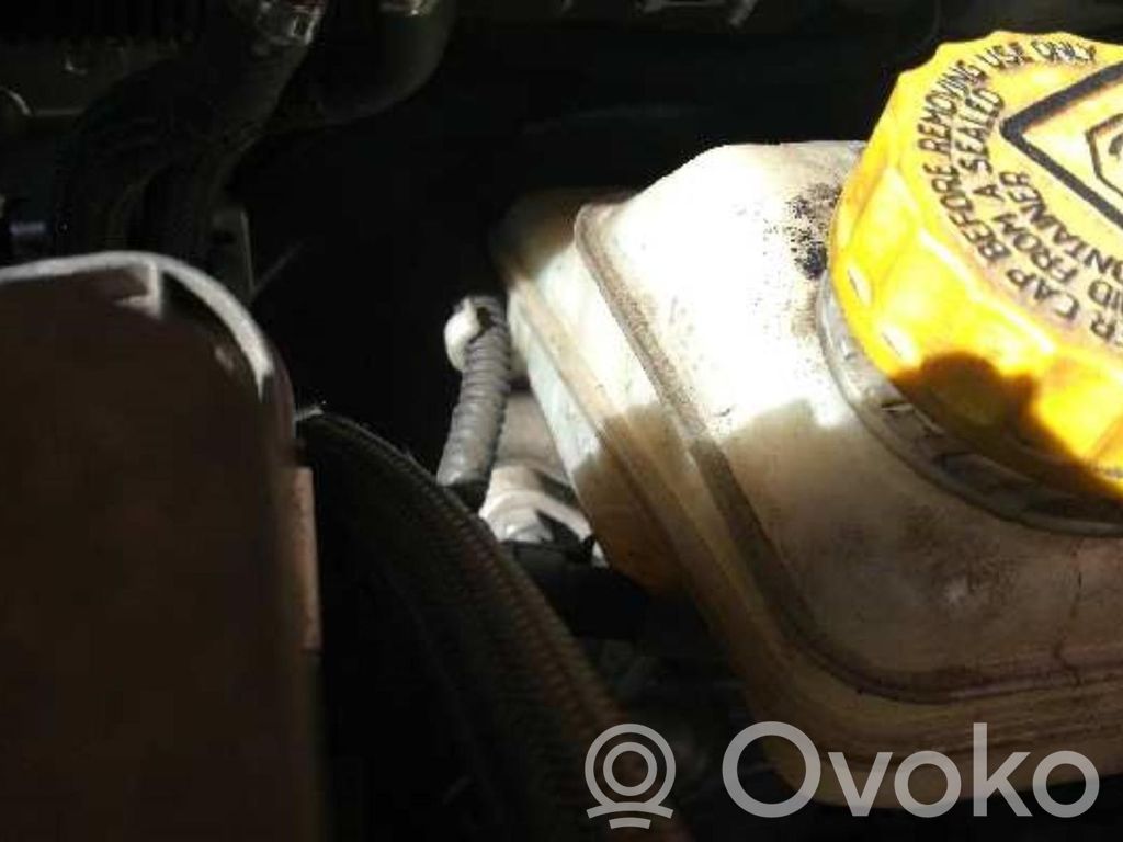 Bremskraftverstärker   0204054307