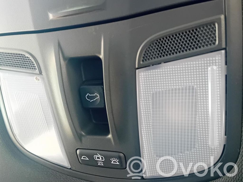Hyundai Kona I Alte lămpi de interior 