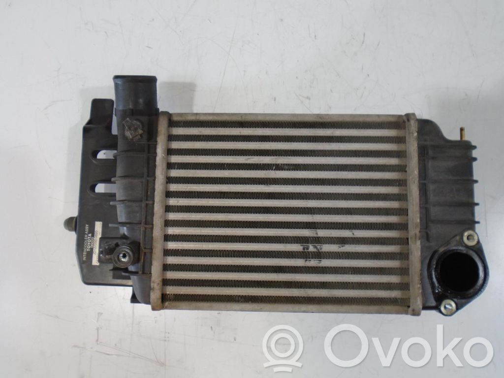 Radiator intercooler   179000N010