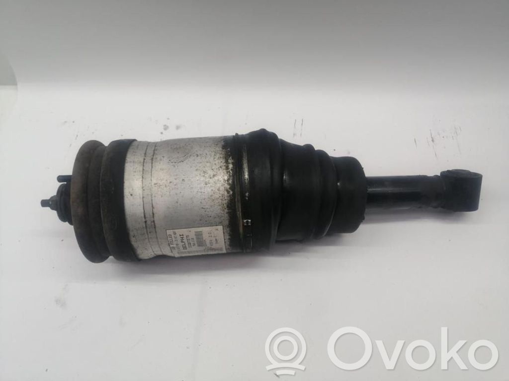Land Rover Range Rover Sport L320 Ammortizzatore posteriore 