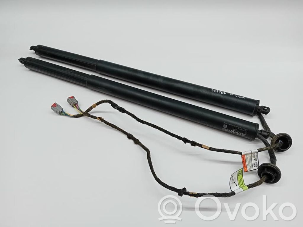 Tailgate/trunk strut/damper
