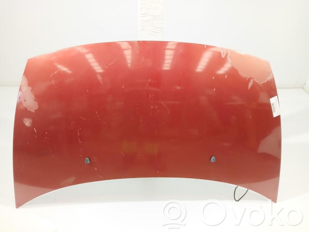 Motorhaube   7901K6