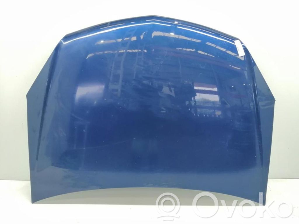 Motorhaube   93178717