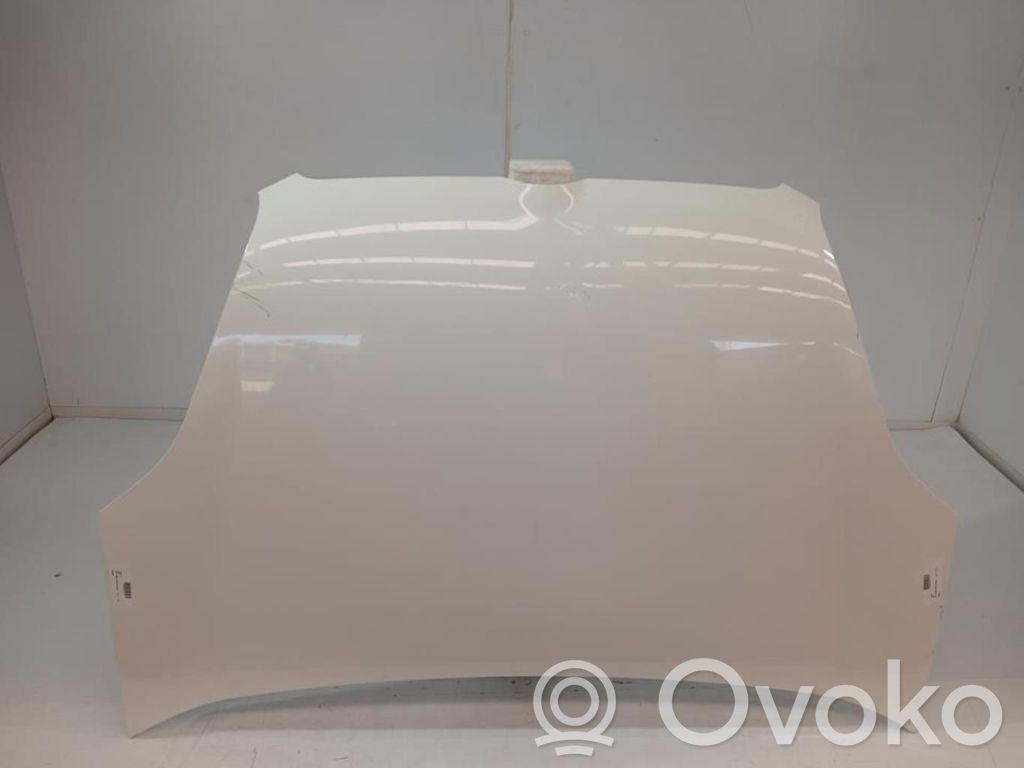 Dzinēja pārsegs (vāks)   95509301