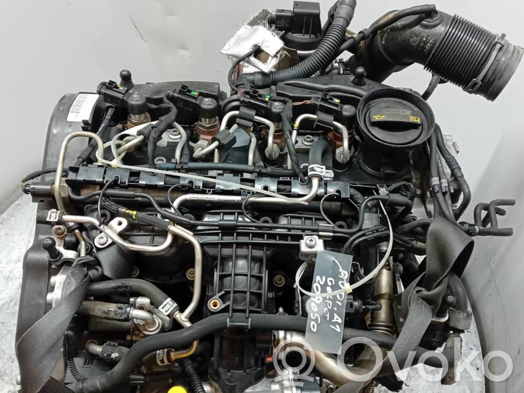Motor   CAY