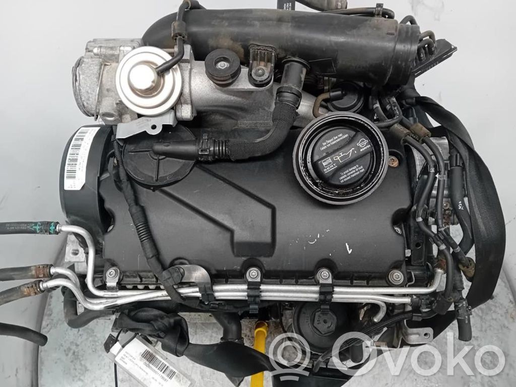 Motor   BXF
